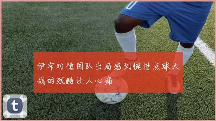 伊布对德国队出局感到惋惜点球大战的残酷让人心痛