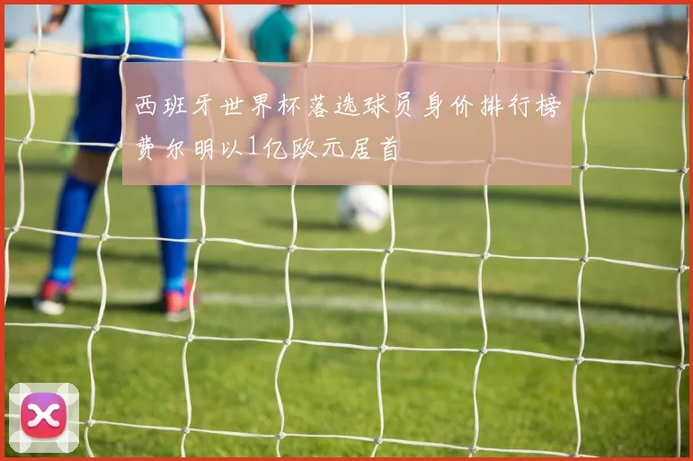 西班牙世界杯落选球员身价排行榜费尔明以1亿欧元居首